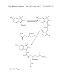 Aptamer conjugates diagram and image