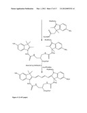 Aptamer conjugates diagram and image