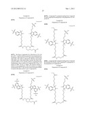 Aptamer conjugates diagram and image