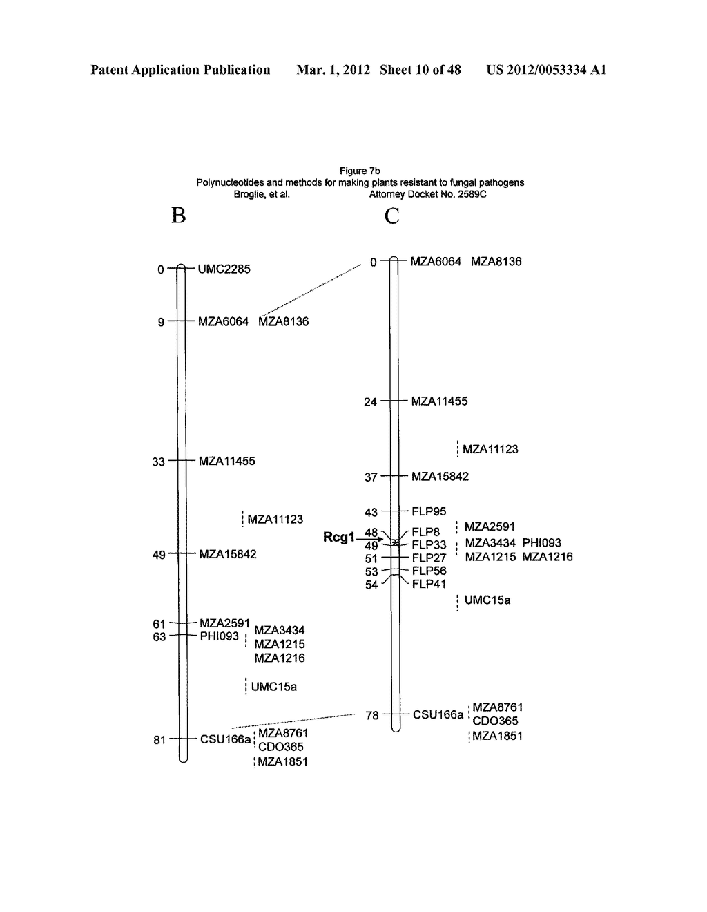 Polynucleotides and methods for making plants resistant to fungal     pathogens - diagram, schematic, and image 11