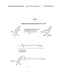Nucleic Acid Labelling Compounds diagram and image