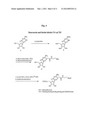 Nucleic Acid Labelling Compounds diagram and image