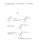 Nucleic Acid Labelling Compounds diagram and image