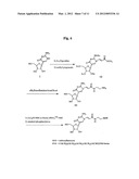 Nucleic Acid Labelling Compounds diagram and image