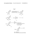 Nucleic Acid Labelling Compounds diagram and image