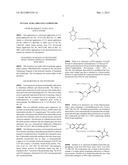 Nucleic Acid Labelling Compounds diagram and image