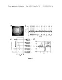 MAGNETIC CONFIGURATION AND TIMING SCHEME FOR TRANSCRANIAL MAGNETIC     STIMULATION diagram and image