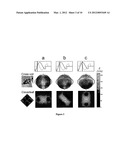 MAGNETIC CONFIGURATION AND TIMING SCHEME FOR TRANSCRANIAL MAGNETIC     STIMULATION diagram and image