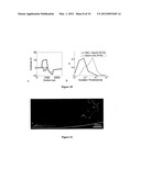 MAGNETIC CONFIGURATION AND TIMING SCHEME FOR TRANSCRANIAL MAGNETIC     STIMULATION diagram and image