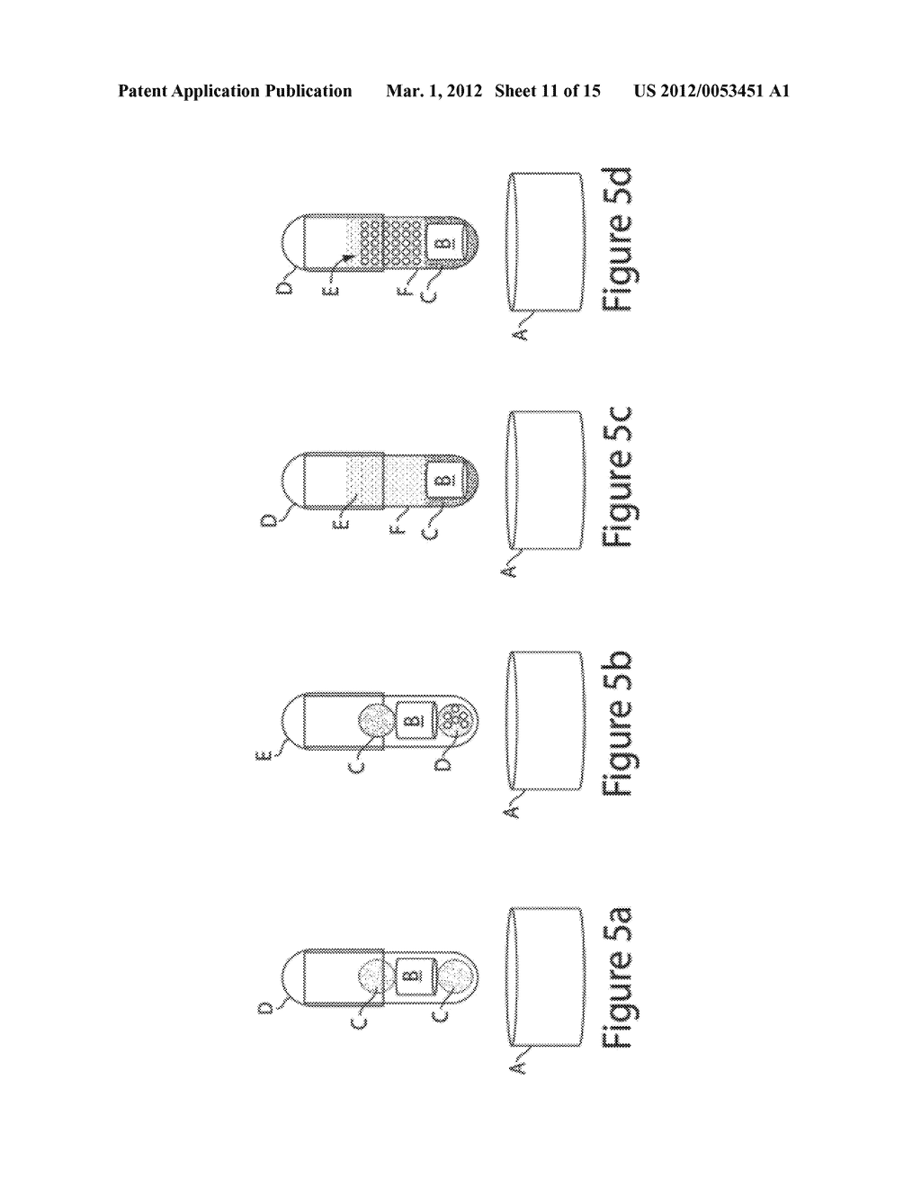 METHODS AND SYSTEMS FOR PROLONGED LOCALIZATION OF DRUG DELIVERY - diagram, schematic, and image 12