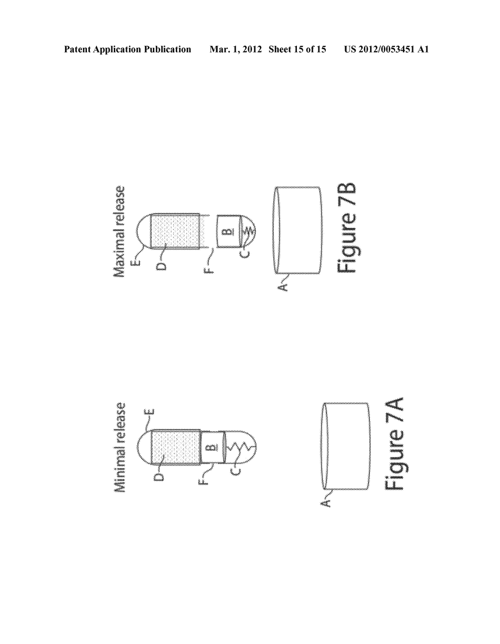 METHODS AND SYSTEMS FOR PROLONGED LOCALIZATION OF DRUG DELIVERY - diagram, schematic, and image 16