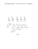 SELECTIVE TISSUE REMOVAL TOOL FOR USE IN MEDICAL APPLICATIONS AND METHODS     FOR MAKING AND USING diagram and image