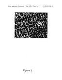 PROCESS FOR PRODUCING SEMI-SOLIDIFIED SLURRY OF IRON ALLOY diagram and image