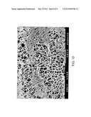 POLYSACCHARIDE PSEUDO-SPONGE diagram and image