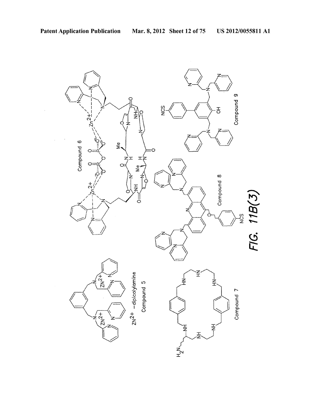 Methods and Apparatus for Measuring Analytes Using Large Scale FET Arrays - diagram, schematic, and image 13