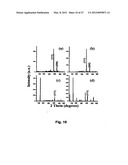 GREEN SYNTHESIS OF NANOMETALS USING PLANT EXTRACTS AND USE THEREOF diagram and image