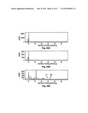 GREEN SYNTHESIS OF NANOMETALS USING PLANT EXTRACTS AND USE THEREOF diagram and image