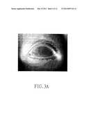 METHOD FOR ANALYZING TEAR FILM THERMOGRAPH OF CONTACTLESS TEAR FILM     THERMAL IMAGER diagram and image