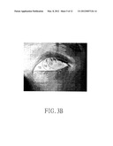 METHOD FOR ANALYZING TEAR FILM THERMOGRAPH OF CONTACTLESS TEAR FILM     THERMAL IMAGER diagram and image