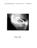 METHOD FOR ANALYZING TEAR FILM THERMOGRAPH OF CONTACTLESS TEAR FILM     THERMAL IMAGER diagram and image