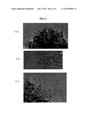 CARBON NANOHORN MRI CONTRAST AGENTS diagram and image