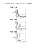 ANTI- INTEGRIN ANTIBODIES, COMPOSITIONS, METHODS AND USES diagram and image