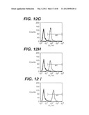 ANTI- INTEGRIN ANTIBODIES, COMPOSITIONS, METHODS AND USES diagram and image