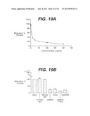 ANTI- INTEGRIN ANTIBODIES, COMPOSITIONS, METHODS AND USES diagram and image