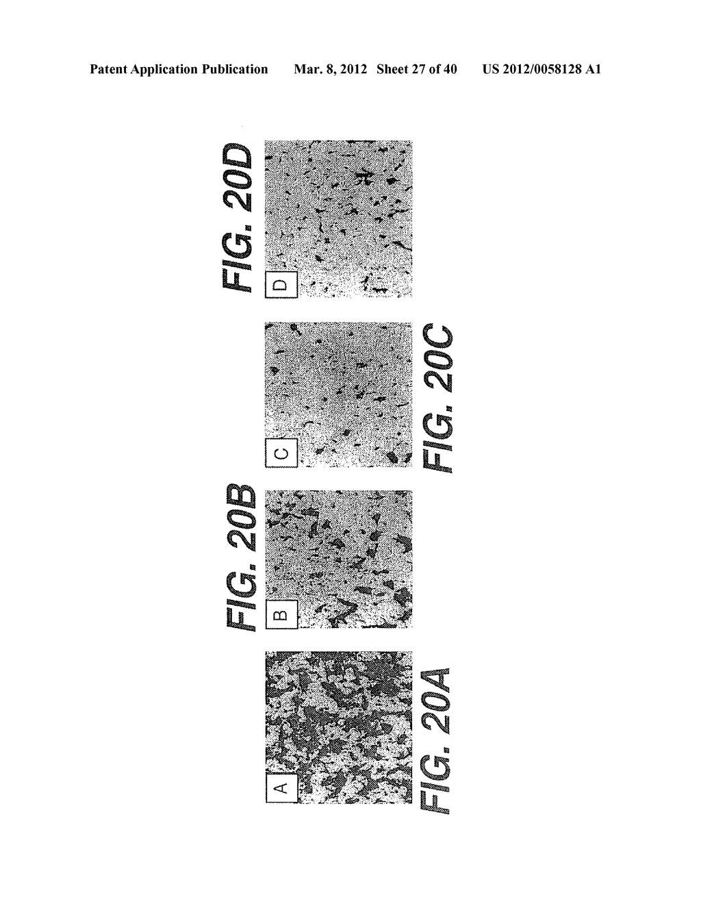 ANTI- INTEGRIN ANTIBODIES, COMPOSITIONS, METHODS AND USES - diagram, schematic, and image 28