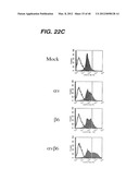 ANTI- INTEGRIN ANTIBODIES, COMPOSITIONS, METHODS AND USES diagram and image