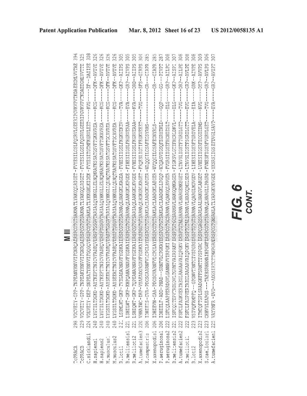 Identification and characterization of racemases, definition of protein     signatures, and a test for detecting D-amino acid and for screening     molecules capable of inhibiting the activity of racemase, especially     proline racemase - diagram, schematic, and image 17