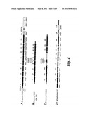 VACCINE FOR PROTECTION AGAINST SHIGELLA SONNEI DISEASE diagram and image