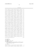 VACCINE FOR PROTECTION AGAINST SHIGELLA SONNEI DISEASE diagram and image