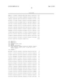 VACCINE FOR PROTECTION AGAINST SHIGELLA SONNEI DISEASE diagram and image