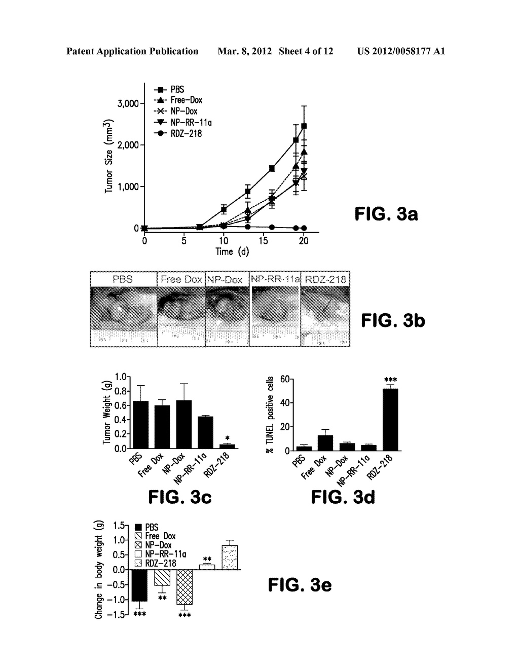 NANOPARTICLE-BASED TUMOR-TARGETED DRUG DELIVERY - diagram, schematic, and image 05