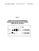 COMPOSITIONS COMPRISING WATER WITH DEUTERIUM FOR THE PREVENTION OR     TREATMENT OF ALLERGIC DISEASES AND A PROCESS FOR THE PREPARATION THEREOF diagram and image