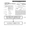 SPARKLING ALCOHOLIC DRINK AND METHOD FOR PRODUCING THE SAME diagram and image