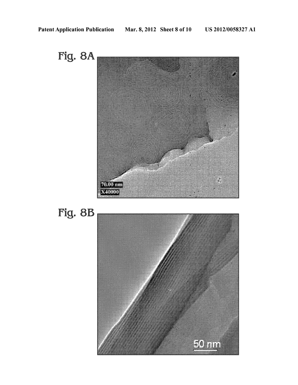 Robust Hybrid Thin Films that Incorporate Lamellar Phospholipid Bilayer     Assemblies and Transmembrane Proteins - diagram, schematic, and image 09