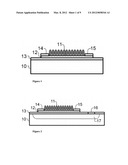 Electronic Devices with Protein Layers diagram and image