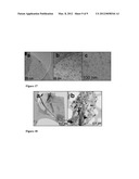 Electronic Devices with Protein Layers diagram and image