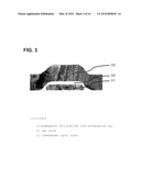 SPIN INJECTION SOURCE AND MANUFACTURING METHOD THEREOF diagram and image