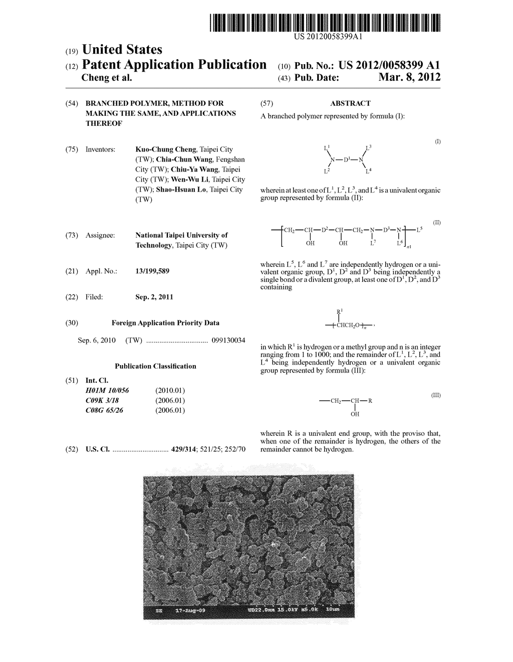 Branched polymer, method for making the same, and applications thereof - diagram, schematic, and image 01