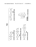 PROTON-CONDUCTIVE COMPOSITE ELECTROLYTE MEMBRANE AND PRODUCING METHOD     THEREOF diagram and image