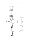 PROTON-CONDUCTIVE COMPOSITE ELECTROLYTE MEMBRANE AND PRODUCING METHOD     THEREOF diagram and image