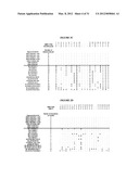 MOLECULAR DETECTION OF XMRV INFECTION diagram and image