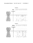 MOLECULAR DETECTION OF XMRV INFECTION diagram and image