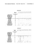 MOLECULAR DETECTION OF XMRV INFECTION diagram and image