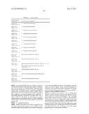 MOLECULAR DETECTION OF XMRV INFECTION diagram and image