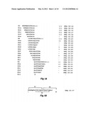 DIFFERENTIAL IMMUNOASSAY FOR PRRS VACCINE ANTIBODY diagram and image