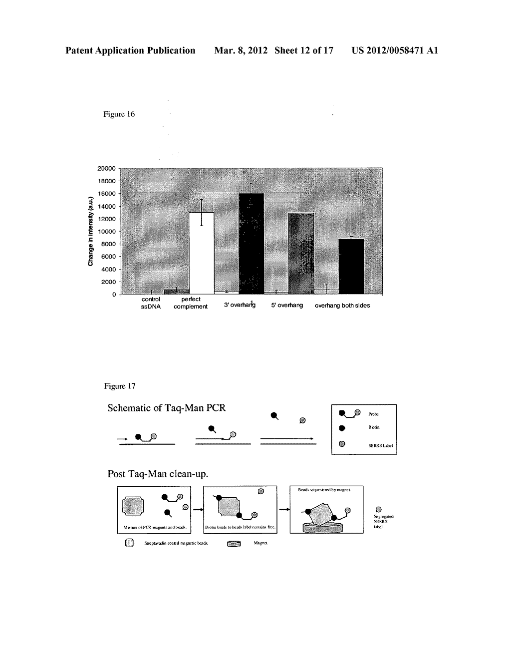 IDENTIFICATION OF NUCLEIC ACID SEQUENCES - diagram, schematic, and image 13